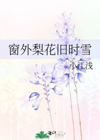 《窗外梨花旧时雪》